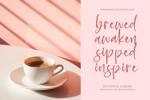 Baplosy Startera - Bold Brush Font Font Letterena Studios 