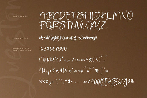 Barettok Queston - Modern Handbrush Font Font Letterena Studios 