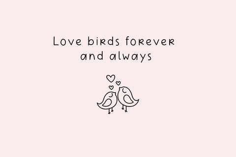 Barn Spider Font Cotton White Studio 