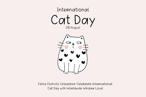 Barn Spider Font Cotton White Studio 