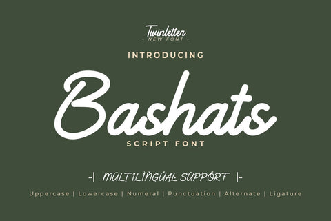 Bashats - Script Monoline Font Font twinletter 