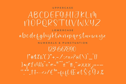 Basket Sixfruits - Quirky Handwritten Font Font Letterena Studios 