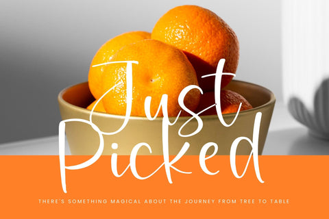 Basket Sixfruits - Quirky Handwritten Font Font Letterena Studios 