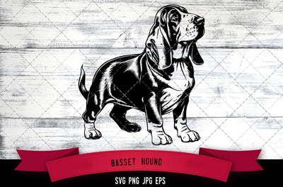 Basset Hound SVG, Dog SVG, Logo - Digital Download with Commercial License for Cricut, Silhouette, Scan N Cut Crafting SVG Loveleen Kaur 