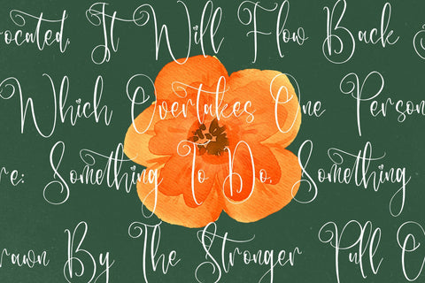 Basstemia Florasita - Beautiful Handwritten Font Font Letterena Studios 