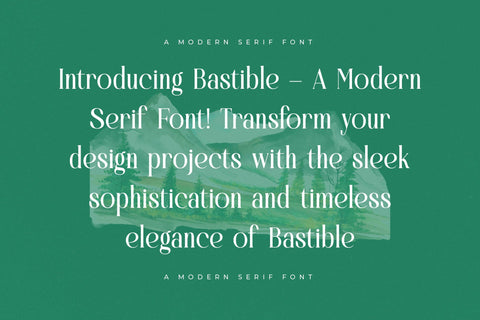 Bastible - Modern Serif Font Font Letterena Studios 