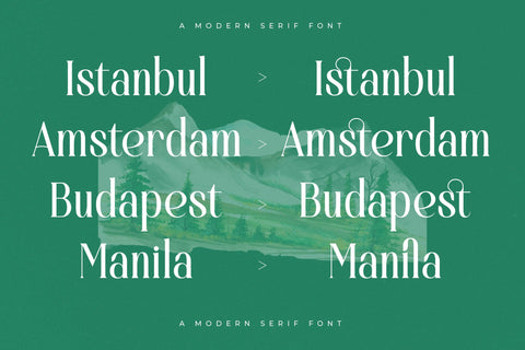 Bastible - Modern Serif Font Font Letterena Studios 