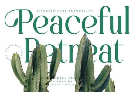 Bastible - Modern Serif Font Font Letterena Studios 