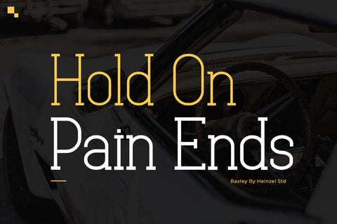 Baxley Modern Slab Serif Font Heinzel Studio 