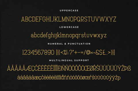 Baxley Modern Slab Serif Font Heinzel Studio 