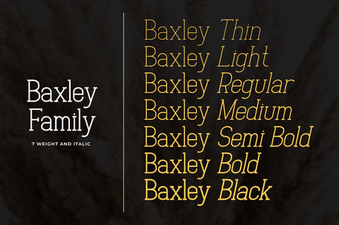 Baxley Modern Slab Serif Font Heinzel Studio 
