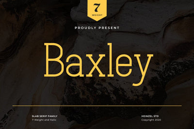 Baxley Modern Slab Serif Font Heinzel Studio 