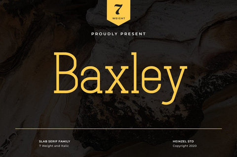 Baxley Modern Slab Serif Font Heinzel Studio 