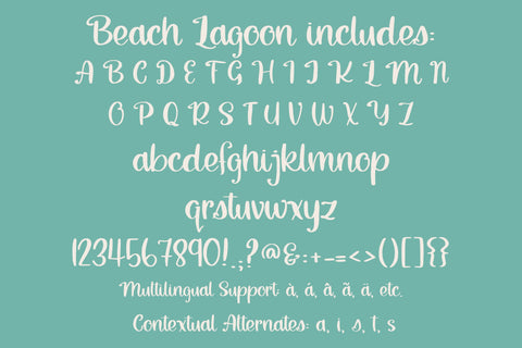 Beach Lagoon, Cute Handwritten Font for Cricut, Cursive Script Font Designing Digitals 