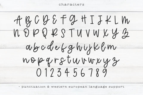 Beach Market Script Font Beck McCormick 