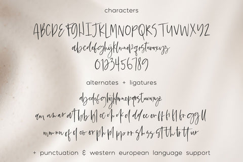 Beach Town Script Font Beck McCormick 