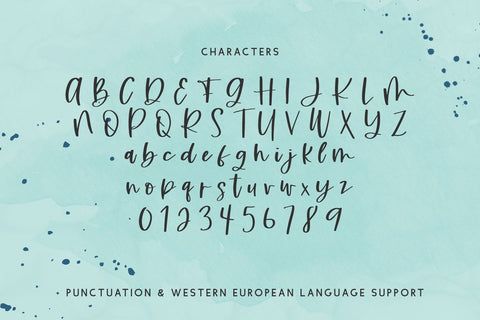 Beachwild Script Font Beck McCormick 