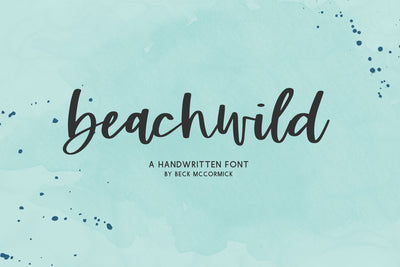 Beachwild Script Font Beck McCormick 