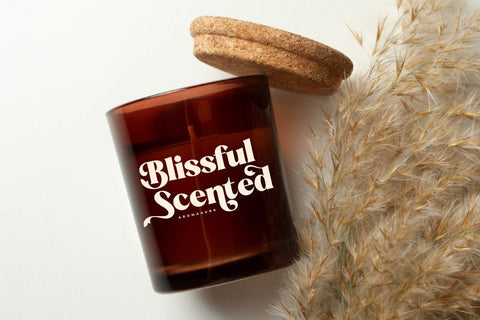 Beatnik Garden - Decorative Retro Serif Font Letterena Studios 