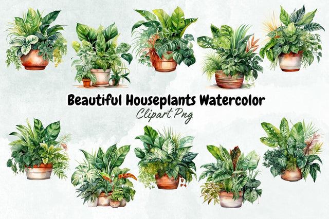 Beautiful Houseplants Watercolor Clipart Bundle Sublimation Designangry 