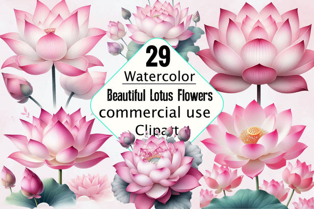 Beautiful Lotus Flowers Sublimation PNG Bundle Sublimation SVGArt 