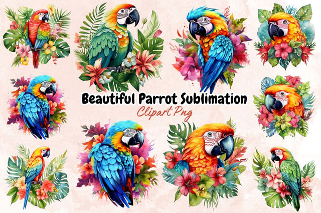Beautiful Parrot Sublimation Clipart Bundle SVG Designangry 