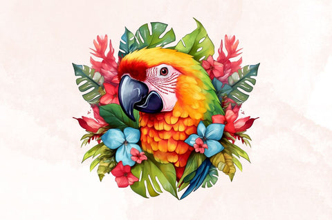 Beautiful Parrot Sublimation Clipart Bundle SVG Designangry 
