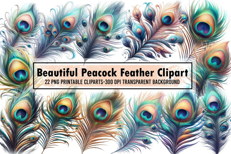 Beautiful Peacock Feather Clipart PNG Sublimation designartist 