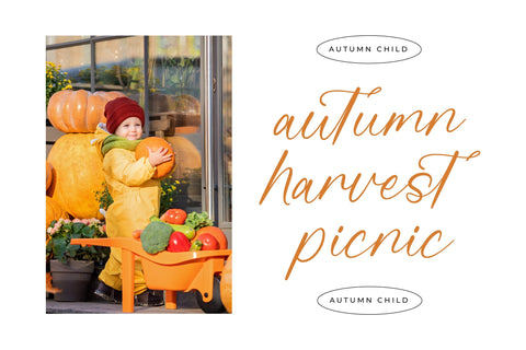 Beauty Autumn - Simple Handwritten Font Font Letterena Studios 