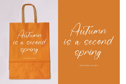 Beauty Autumn - Simple Handwritten Font Font Letterena Studios 