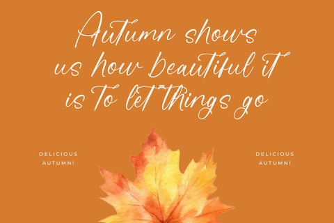 Beauty Autumn - Simple Handwritten Font Font Letterena Studios 