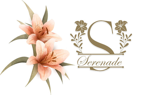 Beauty Lily Line Monogram Font Dm Letter Studio 