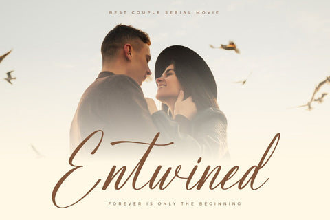 Beautyna Amberosa - Modern Beauty Script Font Letterena Studios 