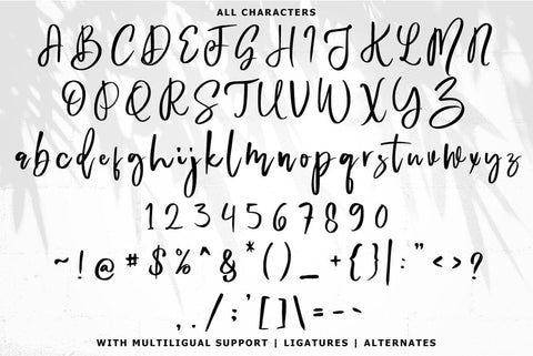Bedmiwoc Brush Typeface Font Fadeline Std. 