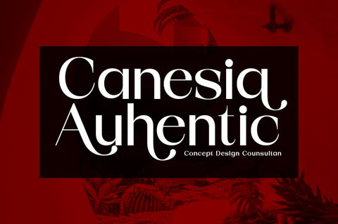 Begota Display Font gatype 