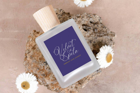 Belati Sophia - Modern Beauty Script Font Letterena Studios 