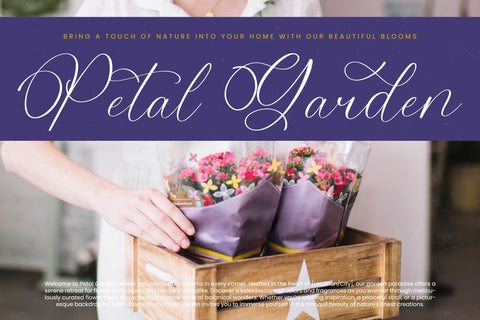 Belati Sophia - Modern Beauty Script Font Letterena Studios 