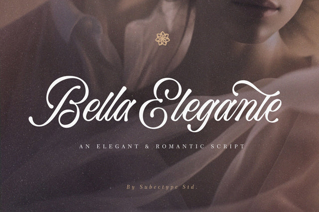 Bella Elegante - Calligraphy Font Font Subectype Studio 