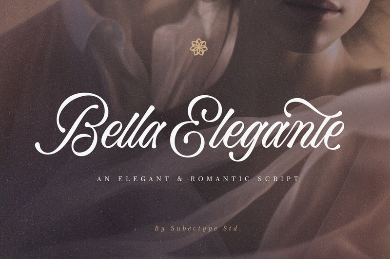 Bella Elegante - Calligraphy Font Font Subectype Studio 