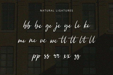 Bellina - Handwritten Font Font Alpaprana Studio 