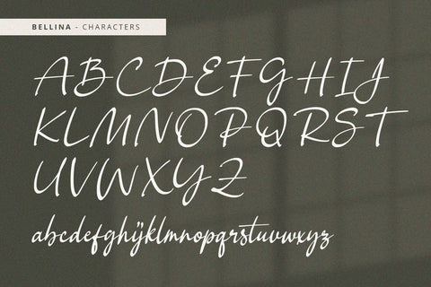 Bellina - Handwritten Font Font Alpaprana Studio 