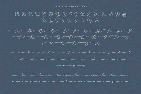 Bellise - Script Font Font Alpaprana Studio 