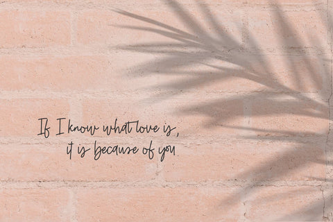 Belovedly Signature Script Font Font Beck McCormick 