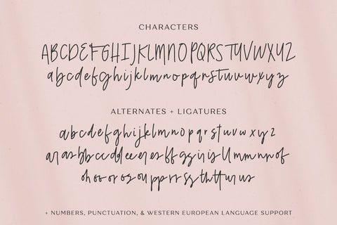Belovedly Signature Script Font Font Beck McCormick 