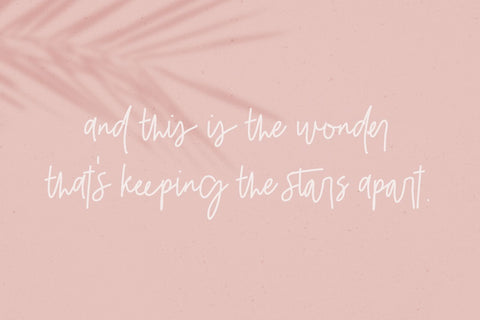 Belovedly Signature Script Font Font Beck McCormick 