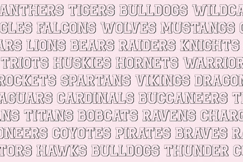Benchwarmer Sports Font Family Font Beck McCormick 