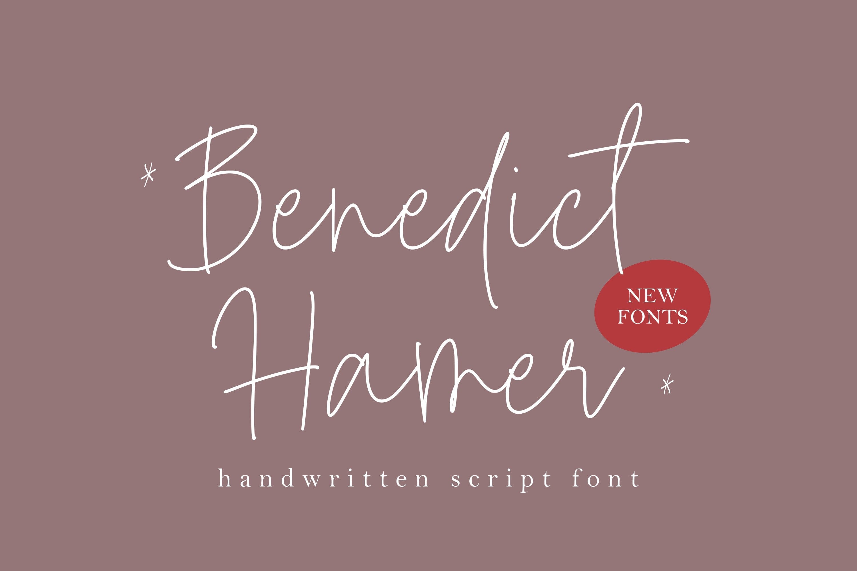 Benedict Hamer Handwritten Script Font - So Fontsy