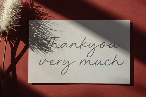 Benjamin Kingdom - Monoline Handwritten Font Font Timur type 