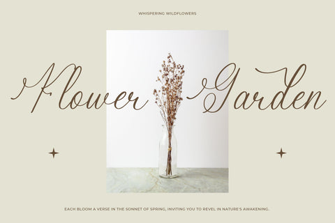 Berlanfi Sankisse - Modern Beauty Script Font Letterena Studios 