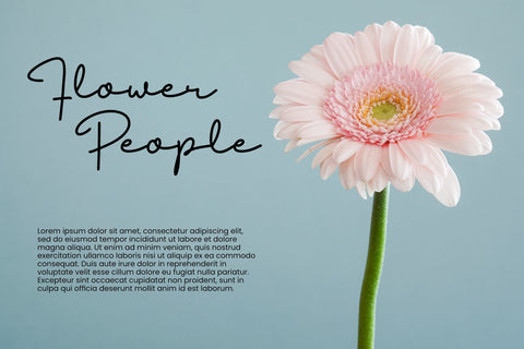 Berliman Font ahweproject 